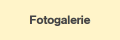 Fotogalerie